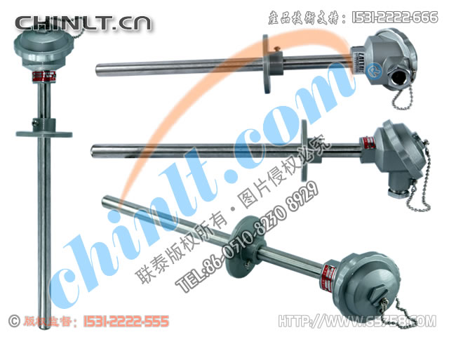 WRE2-330/WRE2-320 装配式双支热电偶 