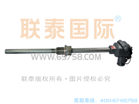 WZCN-230/WZCN-220 装配式耐磨热电阻 